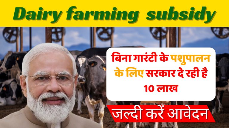 dairy-farming-subsidy