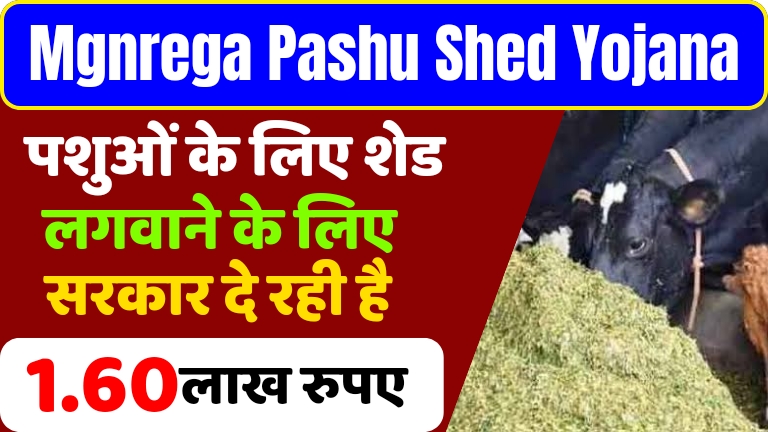 Mgnrega-Pashu-Shed-Yojana